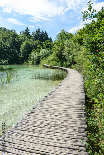 Wooden Path