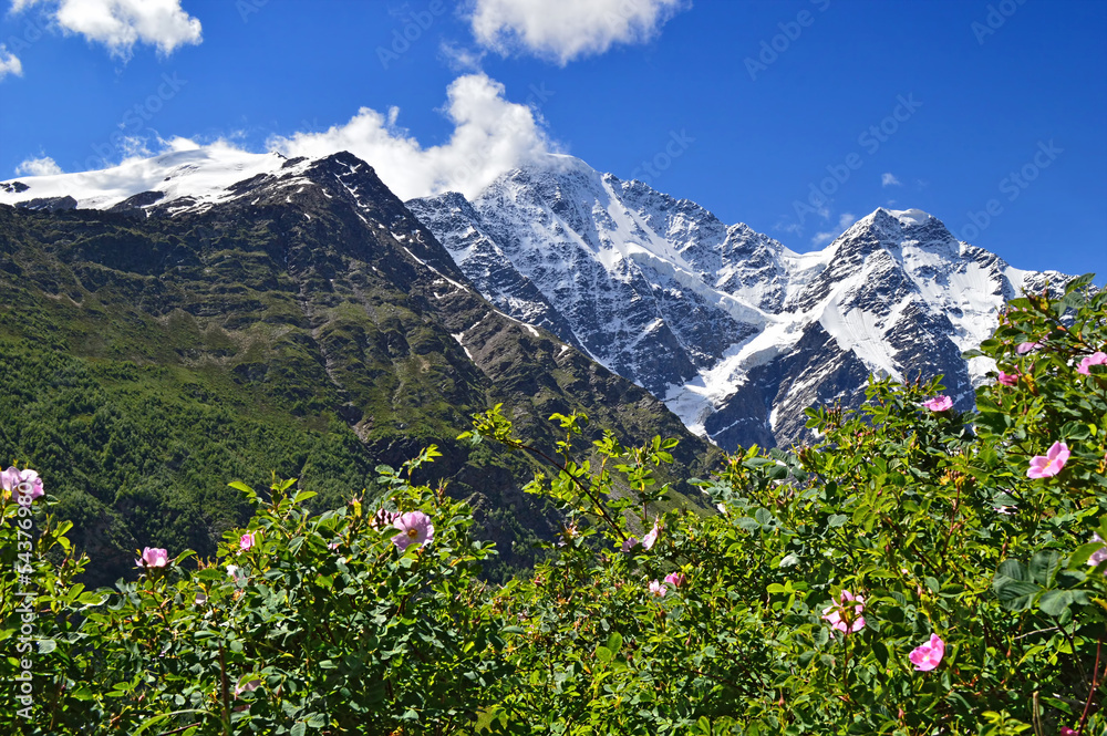 Mountain peaks and flowering bushes