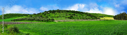 Panoramic landscape
