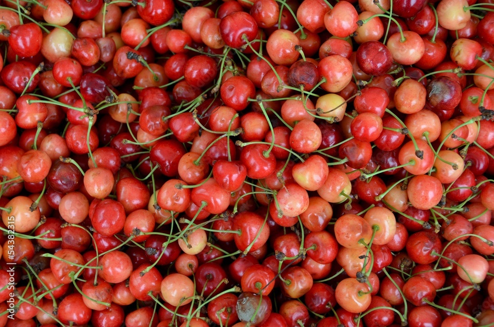 Typical Belgian cherries