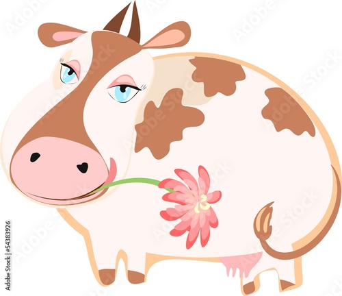 Happy cattle with a flower
