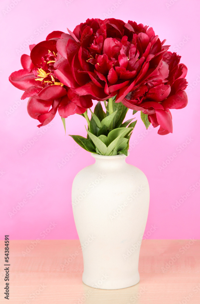 Beautiful peonies in vase on table on pink background Beautiful peonies in vase on table on pink background