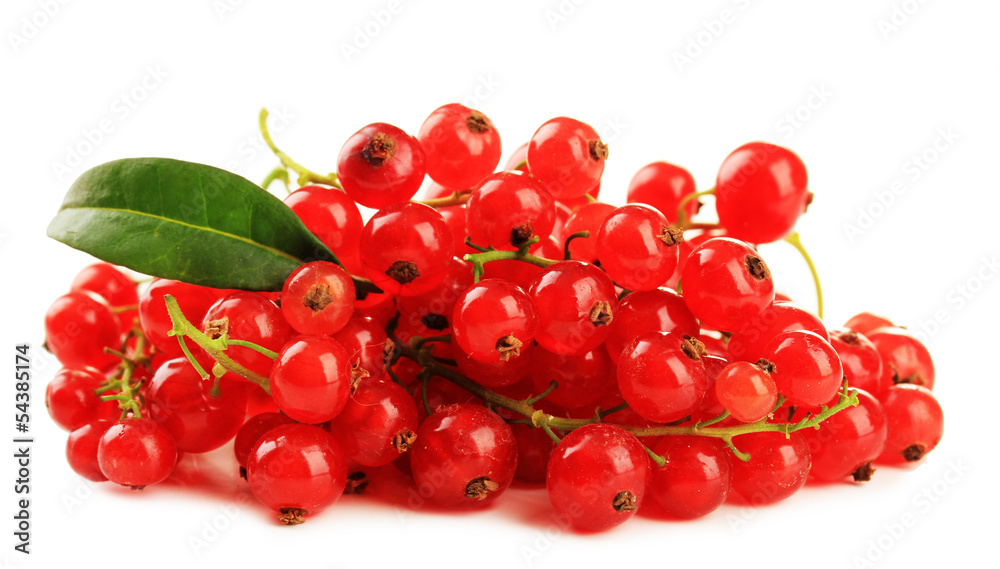 Red currant isolated on white