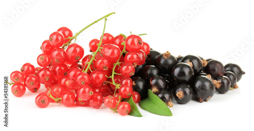 Red and black currant isolated on white