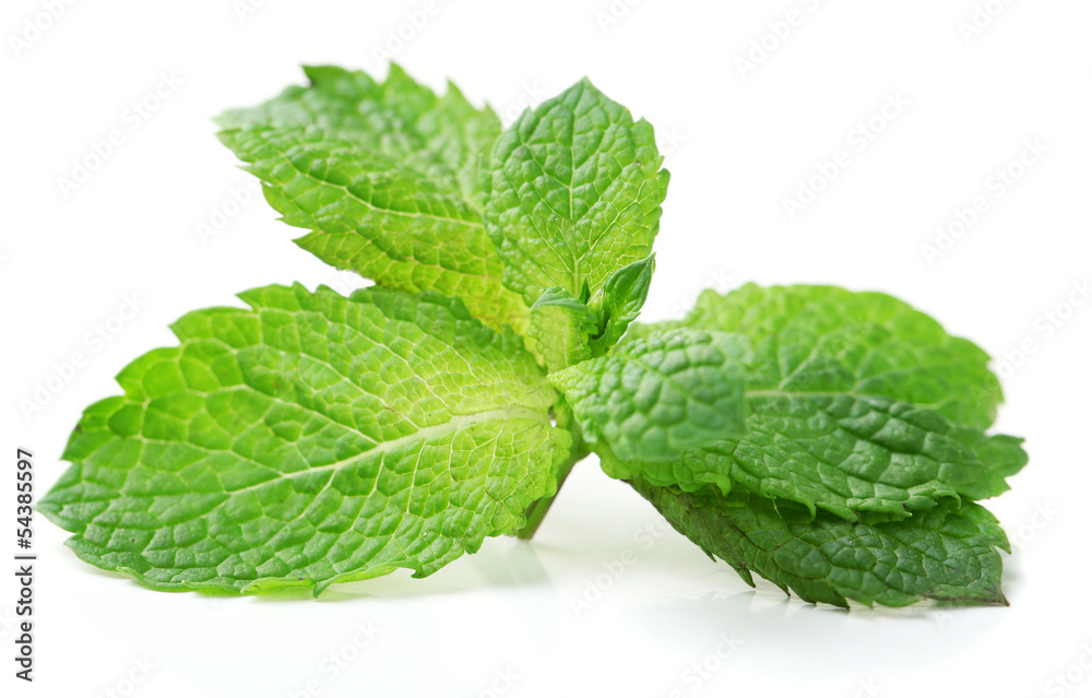 Fresh mint leaves isolated on white Fresh mint leaves isolated on white