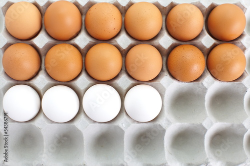 Konstfotografi fresh eggs in pater tray