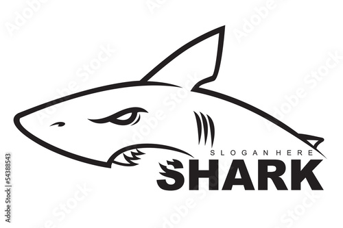 shark vector
