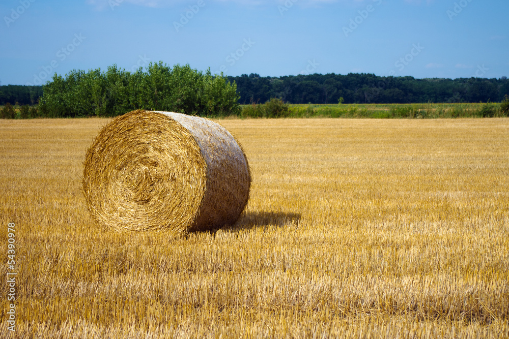 Single hay bale