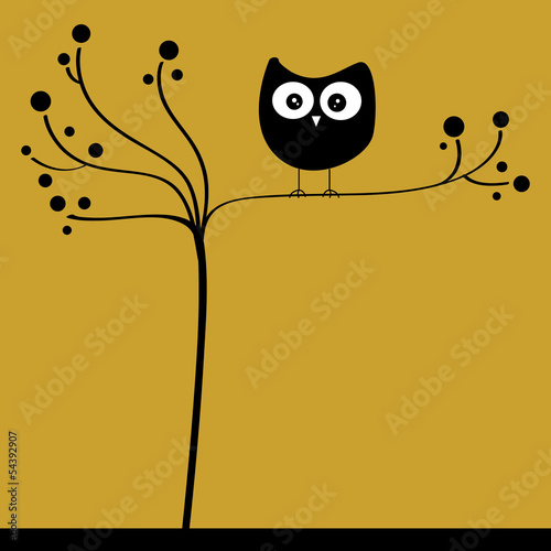 owl in tree