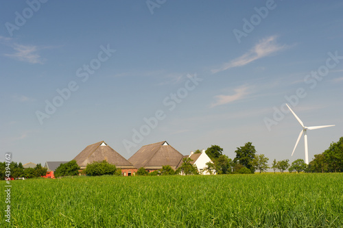Farmhouses in Dutch landscape © Ivonne Wierink
