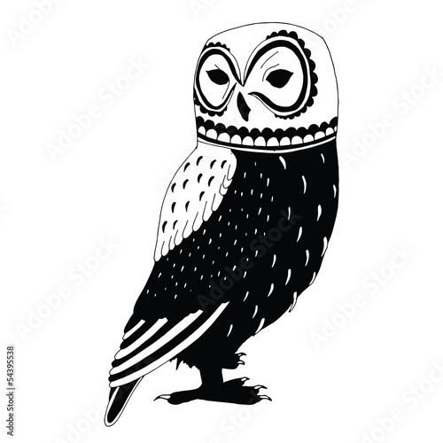 Owl illustration