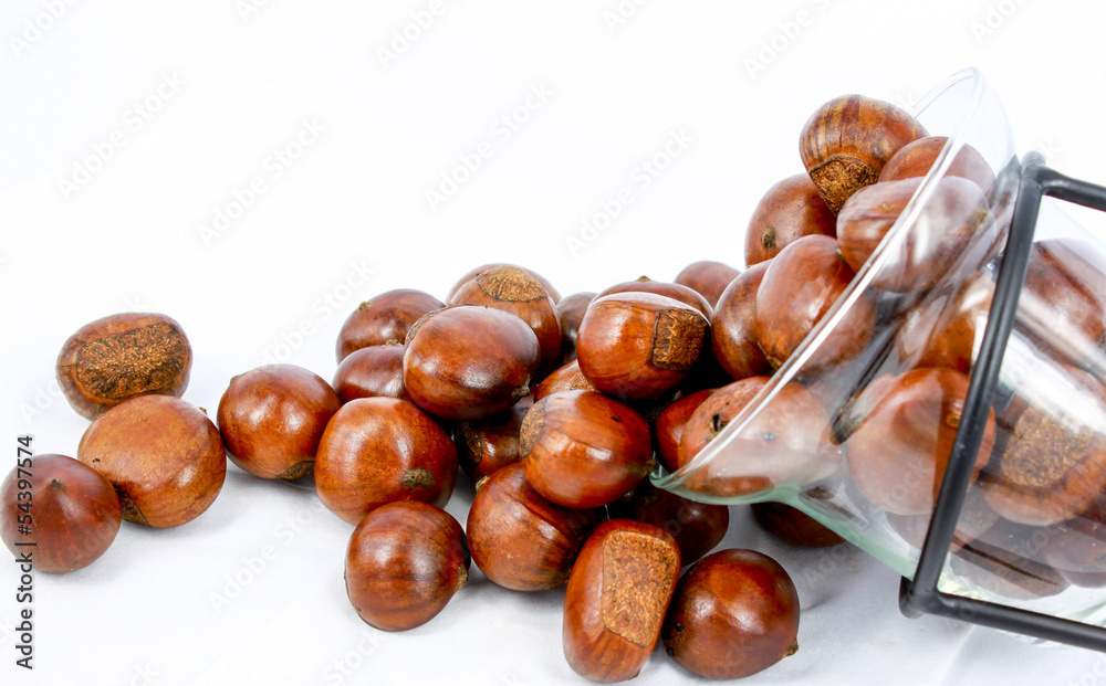 Obraz premium Hazelnut