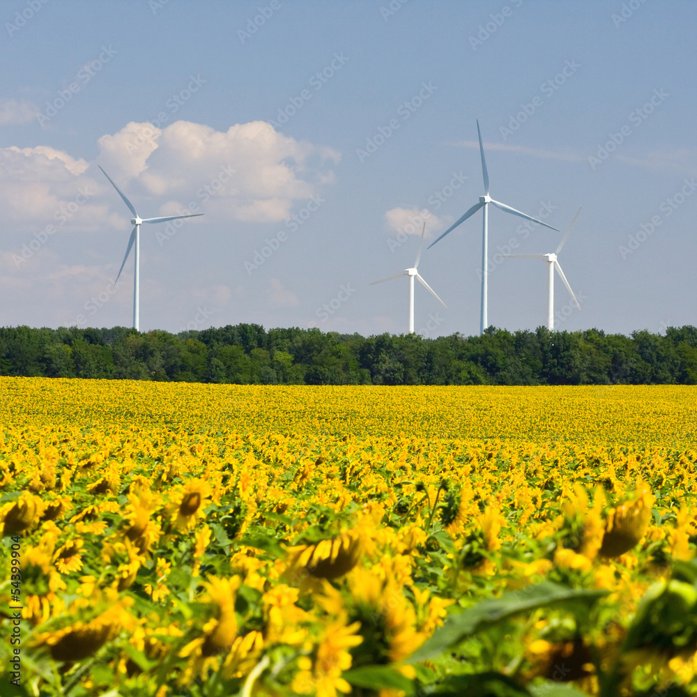 Wind turbines generating electricity Wind turbines generating electricity