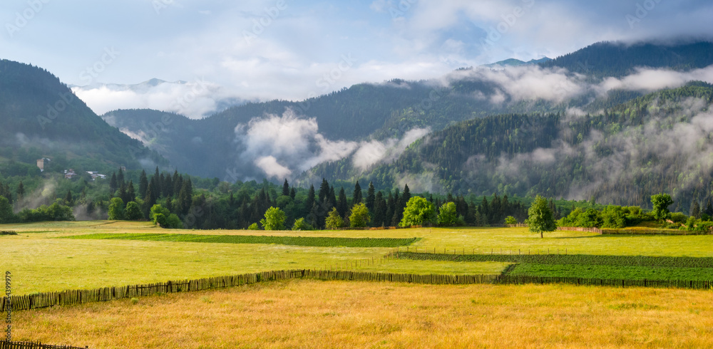 Landscape with meadows and mountains in the fog