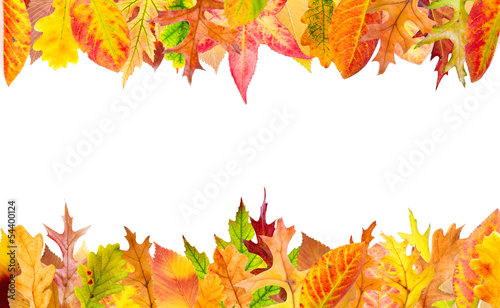 Multi colored autumn leaves frame