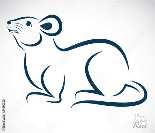 Vector image of an rat
