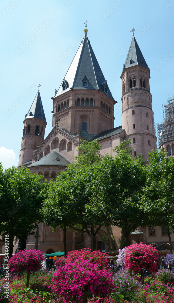 Fototapeta premium Mainzer Dom mit Blumendeko