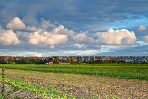 field, farmhouse and blue sky