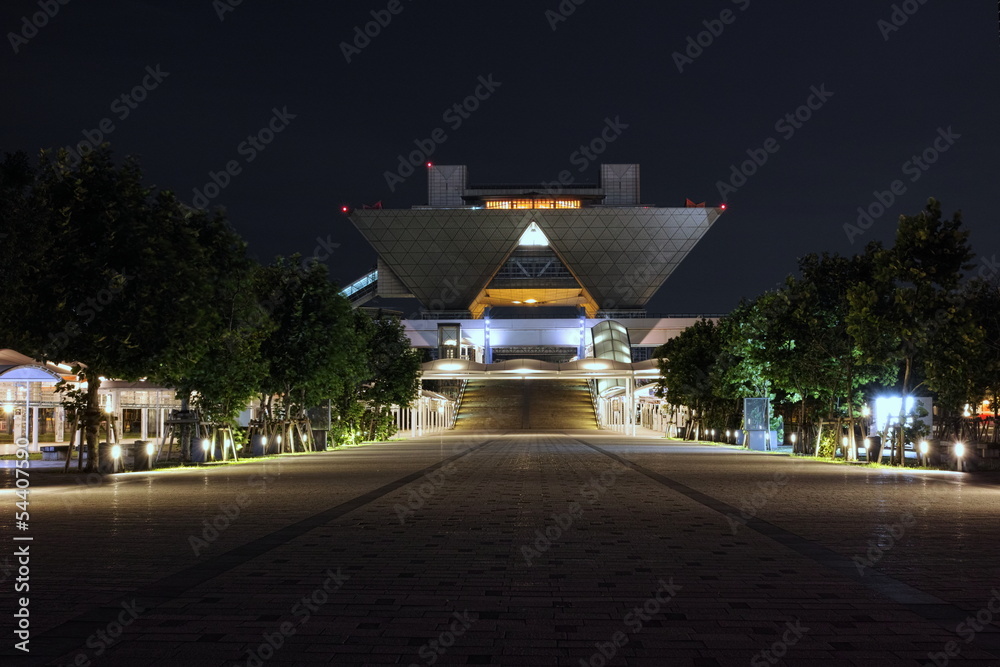 Obraz premium ビッグサイト 夜景