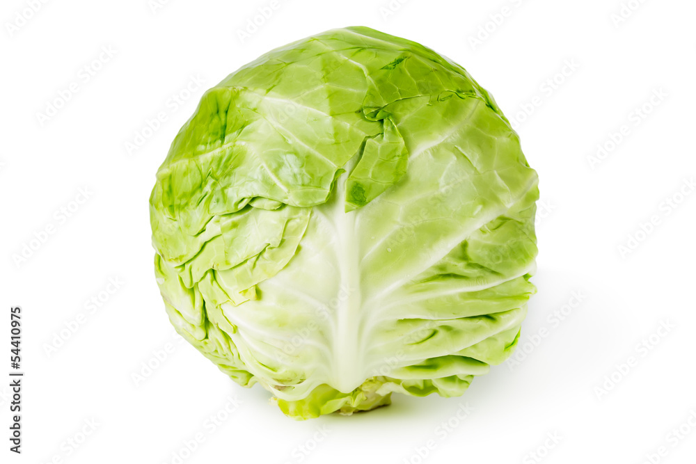 cabbage isolated on white cabbage isolated on white