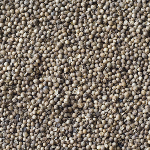 Coriander seeds, spice