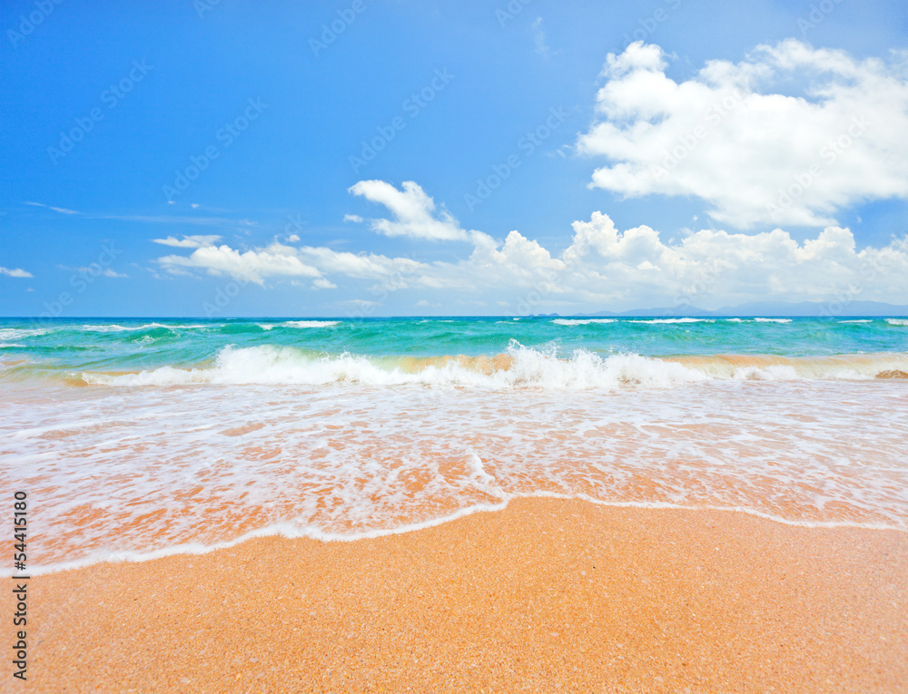 beach and tropical sea