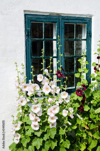 Summer flowers at a window