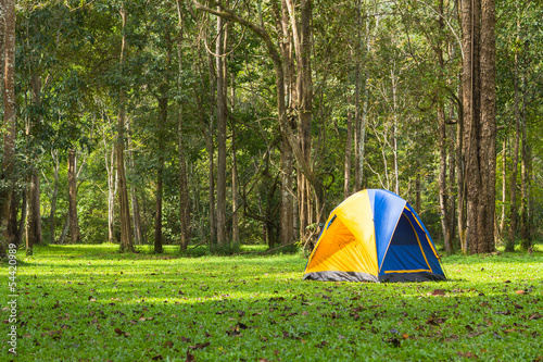 Touristic tent in forest, Thailand