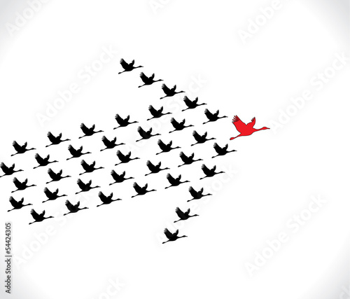 Leadership Synergy Concept  Swans flying Bright white Sky arrow