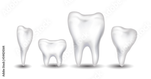 tooth collection for you design