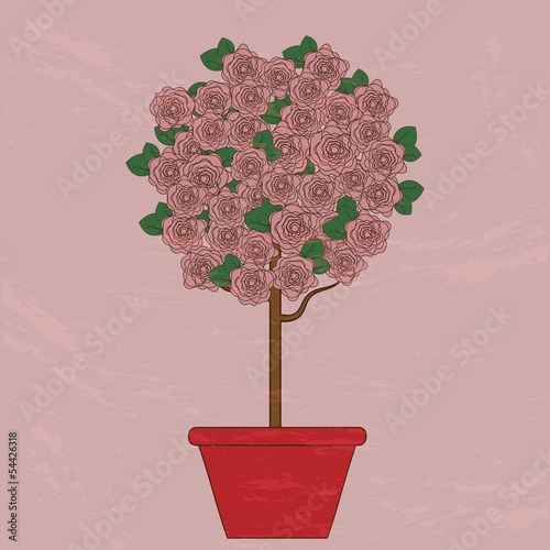 tree with pink flowers in a flower pot on a pink background.vect