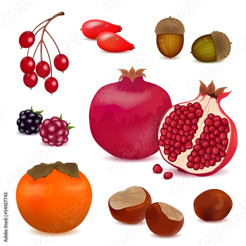 Vector Illustration of Autumnal Nature Elements