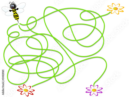 Maze