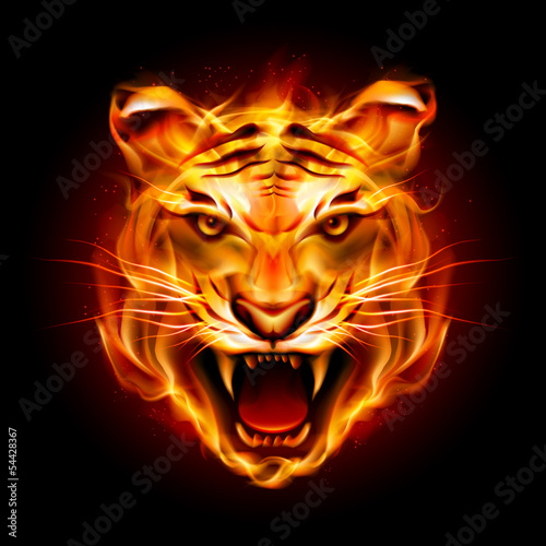 Head of a tiger in flame