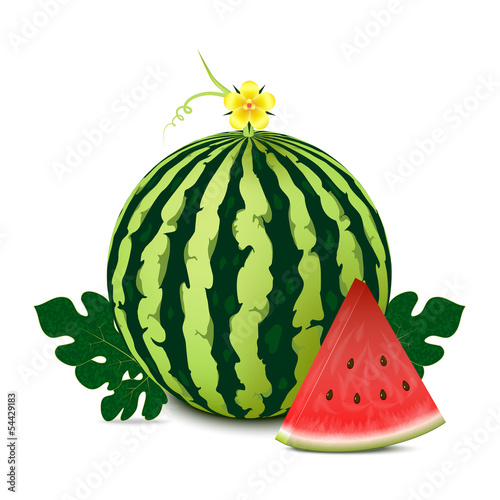 Whole watermelon with slice and leaves.Vector illustration.