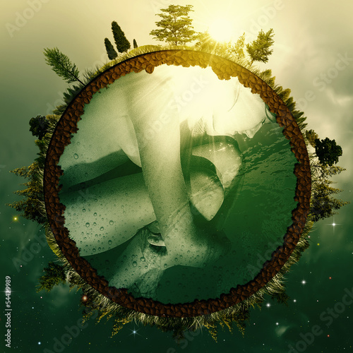 Photography Embryo Earth. Abstract environmental backgrounds for your design