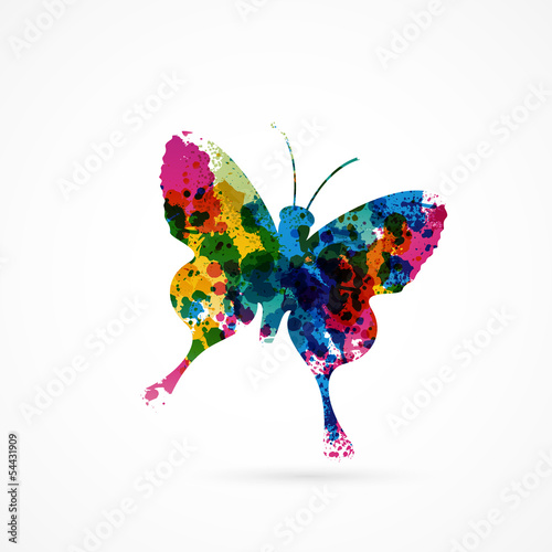 papillon