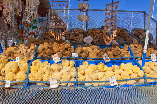 Sea sponges. photo