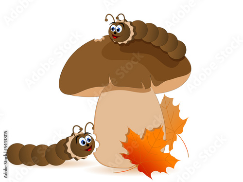 Brown boletus