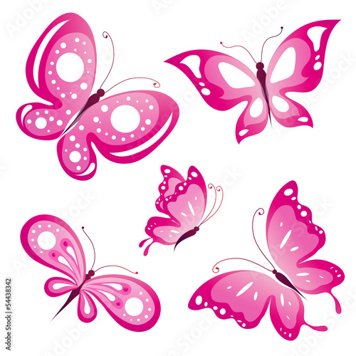 butterfly,butterflies vector