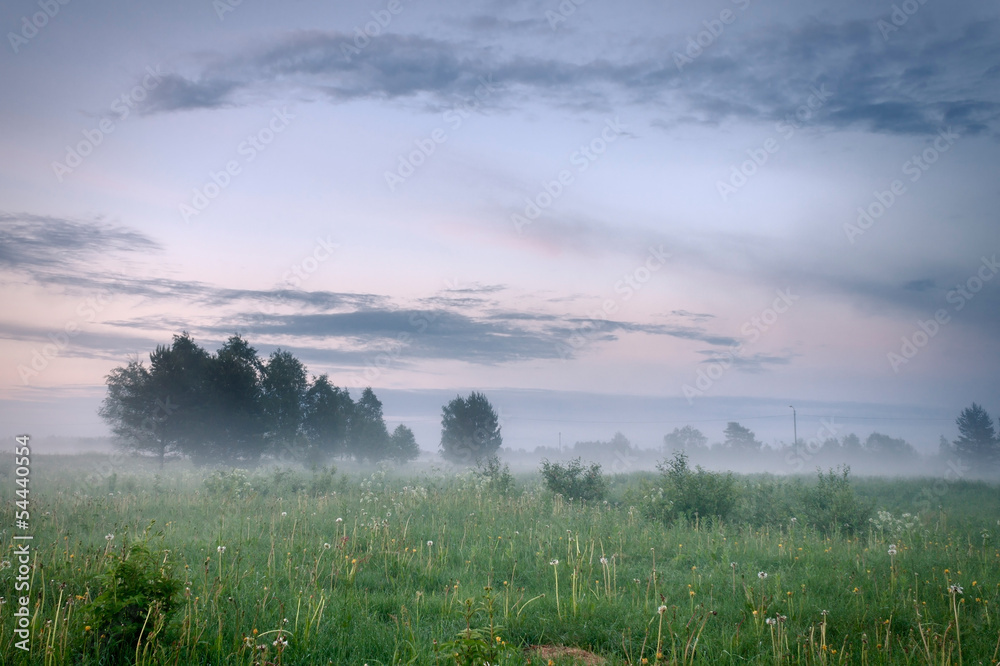 Obraz premium Meadow landscape