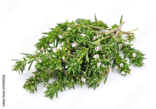 Thyme fresh herb