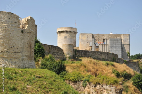 Donjon et fortifications 2, Falaise photo