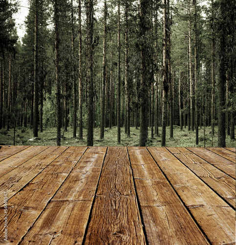 Terrasse am Wald