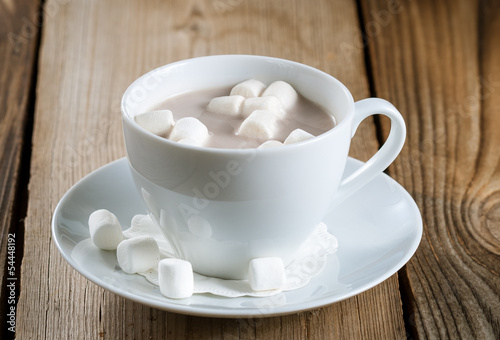 Cup of Hot Chocolate with marshmallows