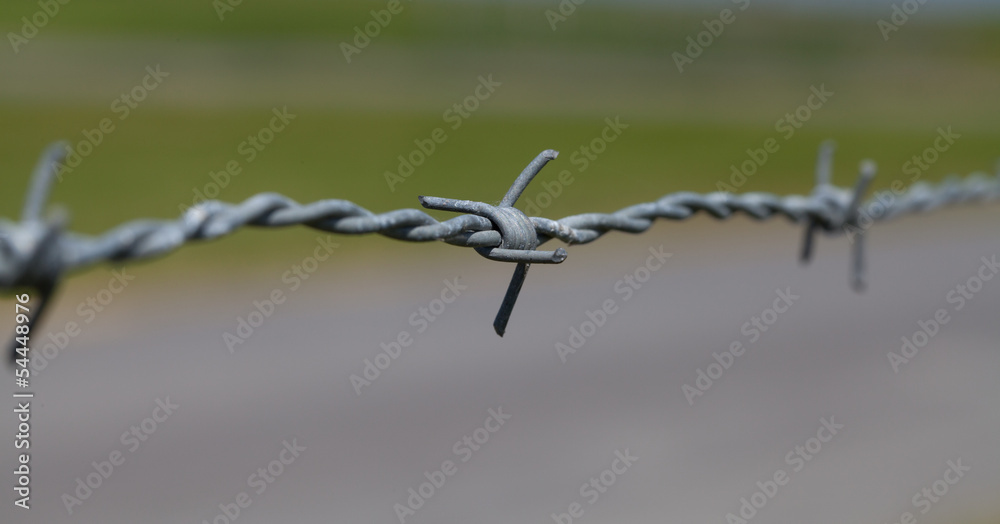 close-up of barbed wire