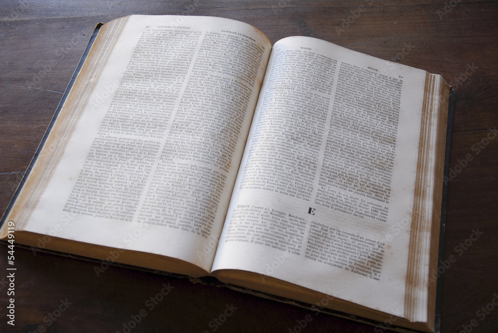 open dictionary on letter E