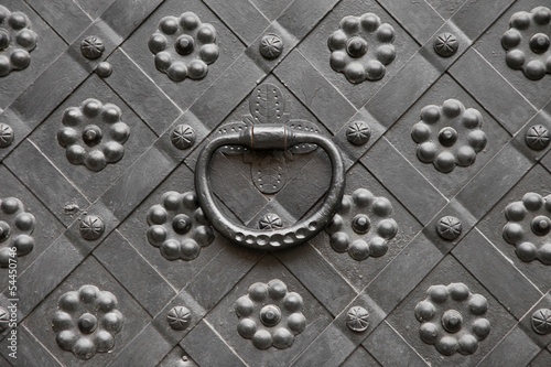 Fotografie gate with door knocker, decorated with wrought iron