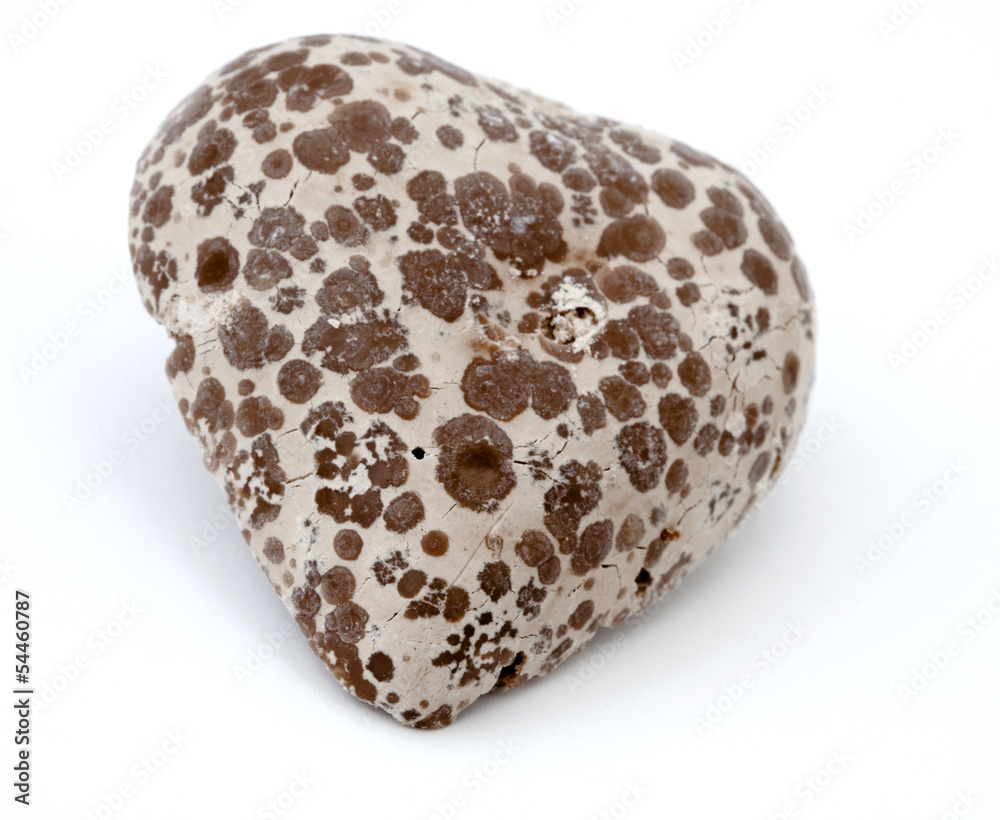 Isolated Heart Shaped Moldy Chocolate Isolated Heart Shaped Moldy Chocolate