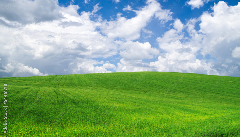 green field green field